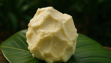 Shea Butter vs. Coconut Oil