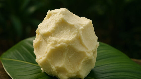 Shea Butter vs. Coconut Oil